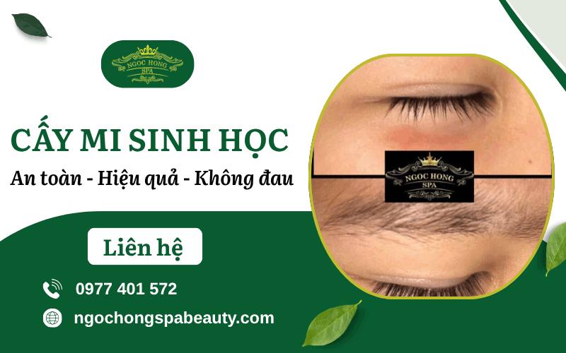 cấy mi sinh học
