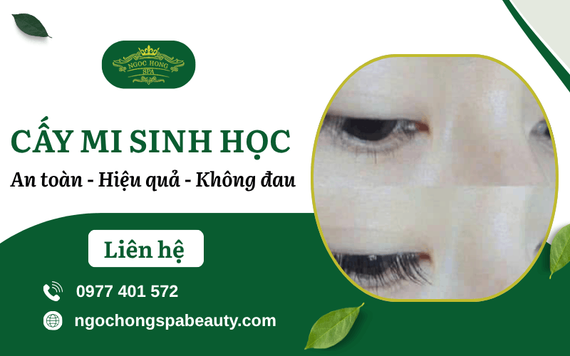 cấy mi sinh học