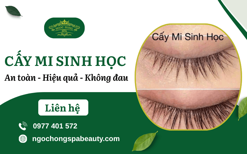 cấy mi sinh học