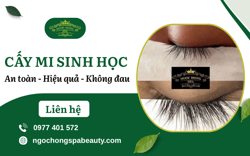 cấy mi sinh học